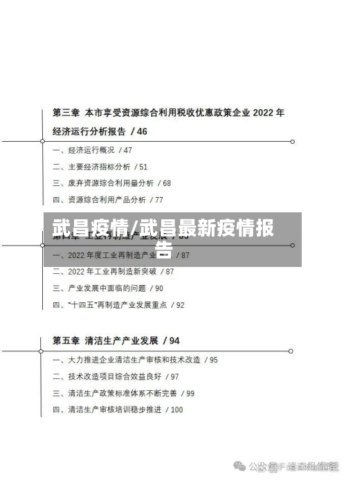 武昌疫情/武昌最新疫情报告-第3张图片