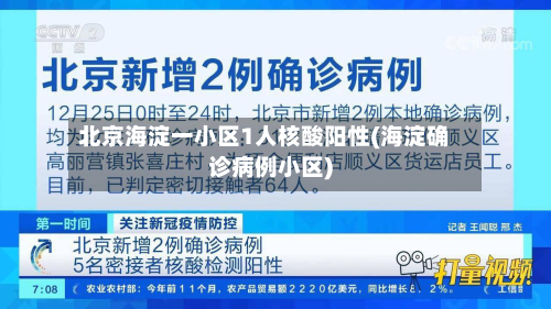 北京海淀一小区1人核酸阳性(海淀确诊病例小区)